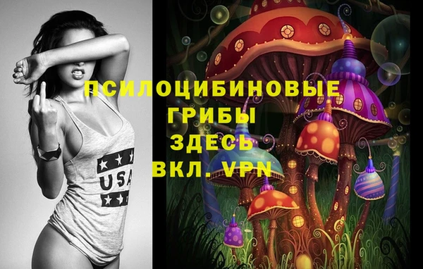 героин Абаза