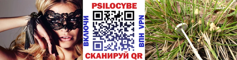 Галлюциногенные грибы мухоморы Бавлы